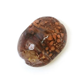 Oval Lentil Large