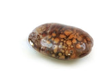 Oval Lentil Large