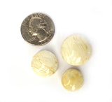 Straight Sided Lentil Trio